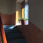 Orchidea מלון