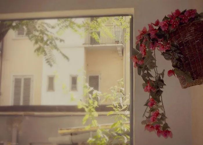 Orchidea Отель 3*