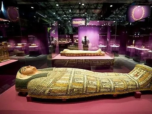 Orchidea 3* טורינו